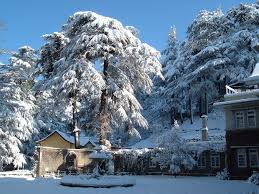 Shimla Tour Packages